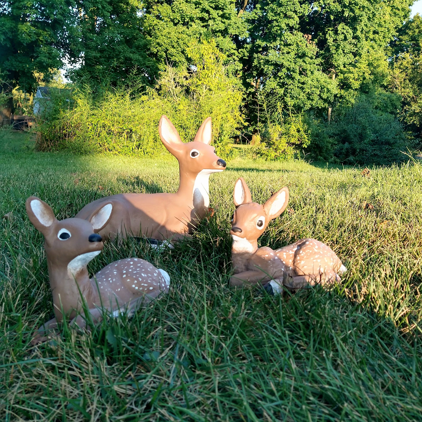 Restored Deer JKHartwork